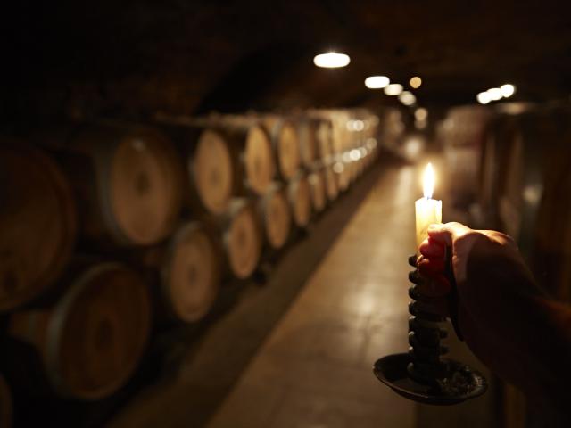 Cave Rat De Cave Pommard Bourgogne